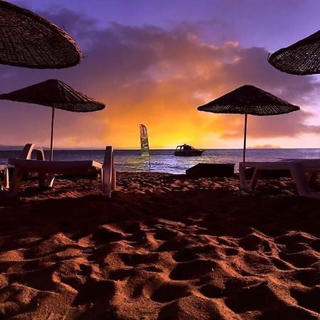 Cicek Evler Tatil Koeyue Hotel Armutlu ภายนอก รูปภาพ