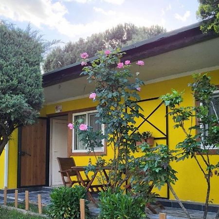 Cicek Evler Tatil Koeyue Hotel Armutlu ภายนอก รูปภาพ