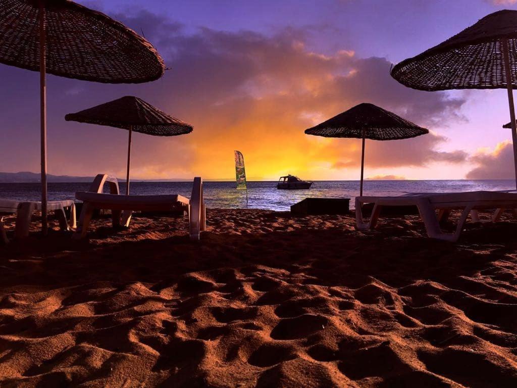 Cicek Evler Tatil Koeyue Hotel Armutlu ภายนอก รูปภาพ